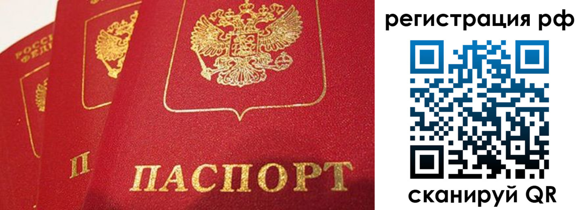 прописка поиск в Ефремове